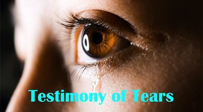 Testimony of Tears - GoodGrief.info